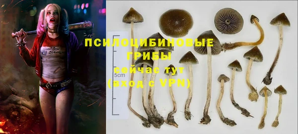 ALPHA PVP Аркадак
