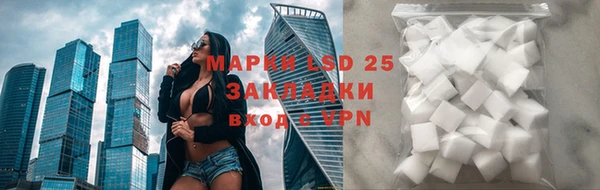 PSILOCYBIN Армянск
