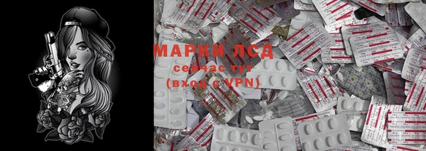 PSILOCYBIN Армянск