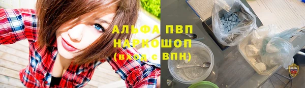 PSILOCYBIN Армянск