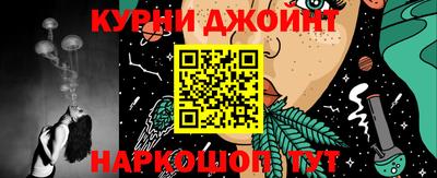индика Ирбит