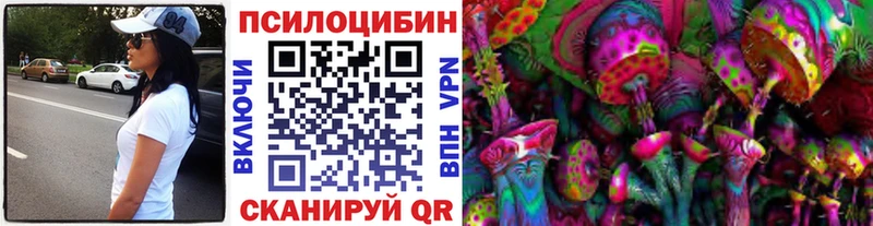 где можно купить наркотик  Моздок  Псилоцибиновые грибы Psilocybe 